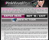 i Pink Visual Pass Review